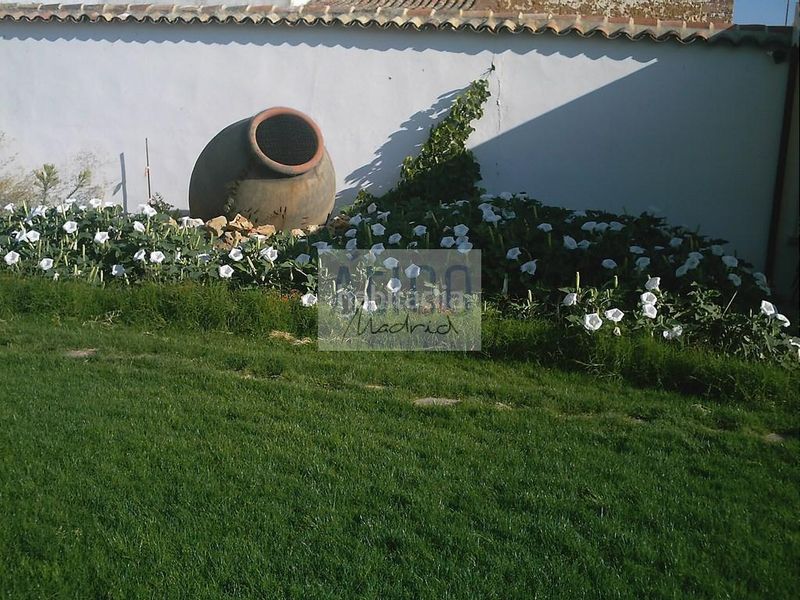Foto f60bc5eb-255d-4713-b521-8224e396af27. Casa a soledad 10 a Cózar