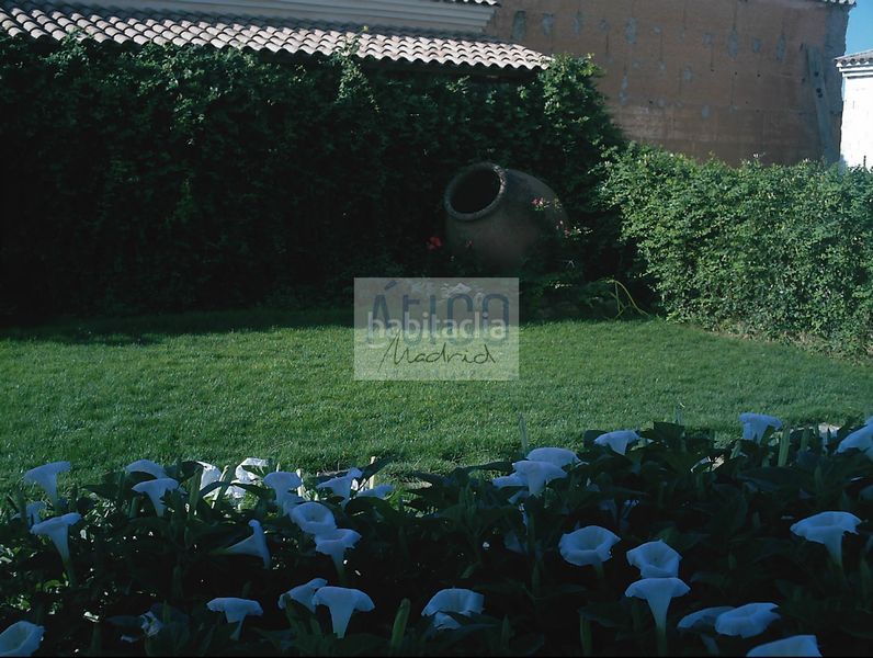 Foto fc504974-697f-477f-96dc-e68db54f0f08. Casa a soledad 10 a Cózar