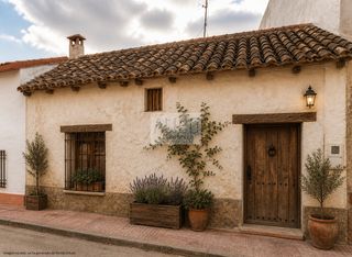 House  Don quijote 16. Cózarcasa