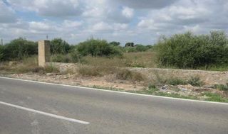 Terreno residenziale in La Conarda