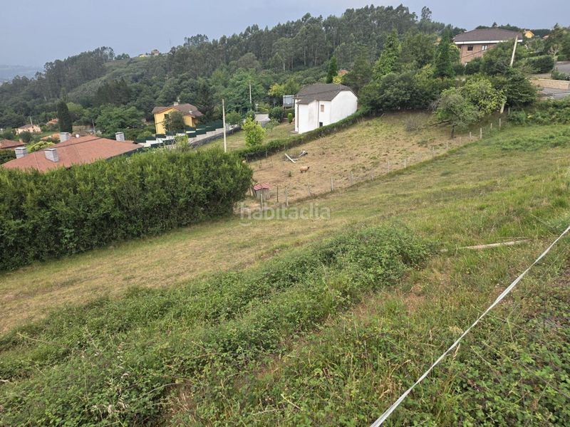 Foto fa131d02-9656-4f23-a039-8014a47284f0. Terreny residencial a Regueras (Las)