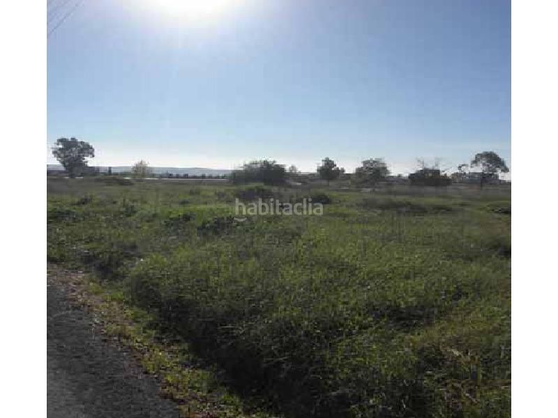 Foto 10ebbbf1-43ef-4d07-a6d0-de004ce904f7. Finca rústica a Centro Córdoba