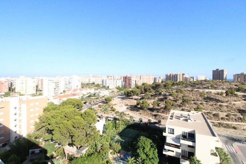 Foto 16960f49-f315-462b-b30c-6bb963f95d57. Àtic amb calefacció aparcament piscina a Albufereta Alicante