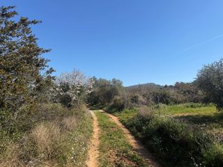 Landgut in Castellví de Rosanes