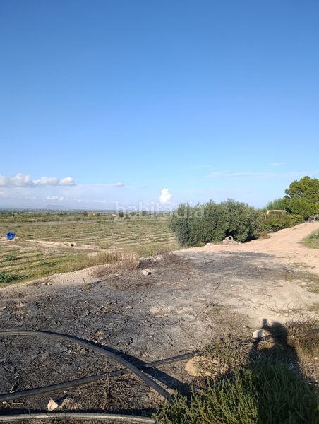 Foto 2b70b340-3266-4655-ae01-404c95251ff4. Finca rústica a La Marina Elche / Elx