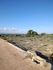 Finca rústica a La Marina