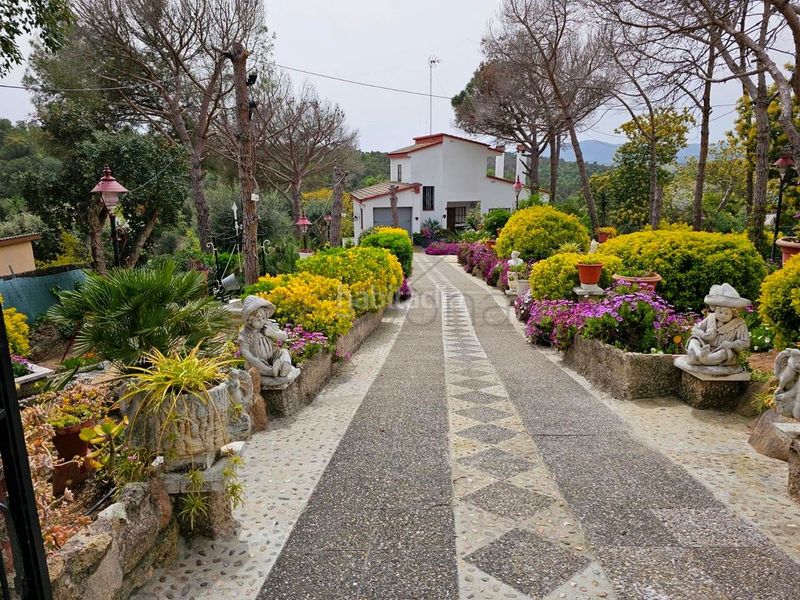 Foto 430ff915-603b-4fe7-9f14-c3ecd0c813e4. Casa amb calefacció aparcament piscina a Mas Altaba - El Molí Maçanet de la Selva