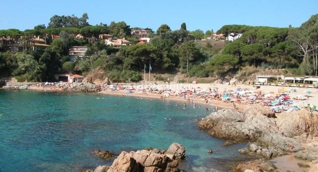 Foto d1ffadcb-39df-40b5-9d93-be05da7a60cf. Casa amb calefacció aparcament piscina a Mas Altaba - El Molí Maçanet de la Selva