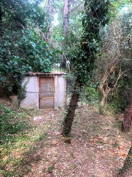 Foto 55565570-53a0-4d35-a8c8-8abee792b24d. Masia a Arbúcies