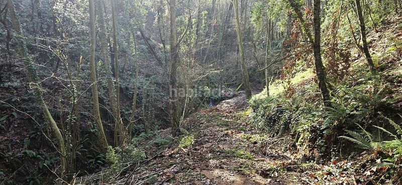 Foto 5c7b42de-5da8-4345-82c5-9fc261c66fcd. Masia a Arbúcies