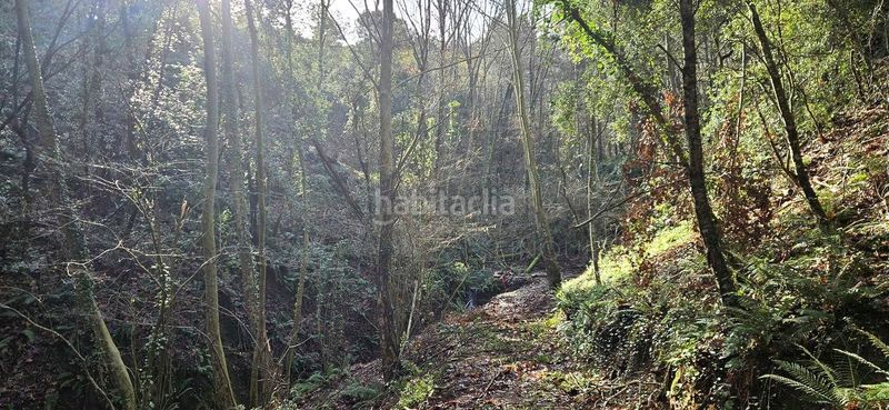 Foto 663795a1-2853-4f05-8ce3-71c67f82b9ef. Masia a Arbúcies