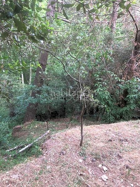 Foto 68ae5047-8d56-4137-bd5d-fd51a90949fa. Masia a Arbúcies