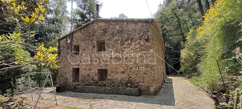 Foto aff06170-df48-4502-803c-baaa5bb958f6. Masia a Arbúcies