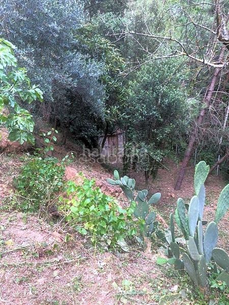 Foto ceedcaf5-06b6-4417-921d-95084d62841b. Masia a Arbúcies