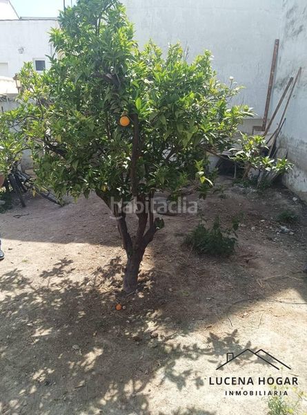Foto cdfb58ab-92c3-42d8-b6b7-0059d1677ea6. Casa a El Carmen - La Barrera Lucena