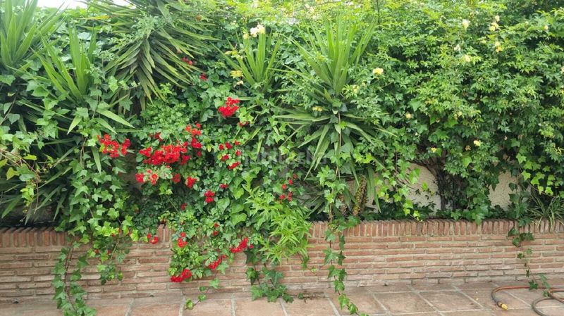 Foto ad07e139-309d-4088-9add-ad3a9f42a4ff. Casa a Cabra