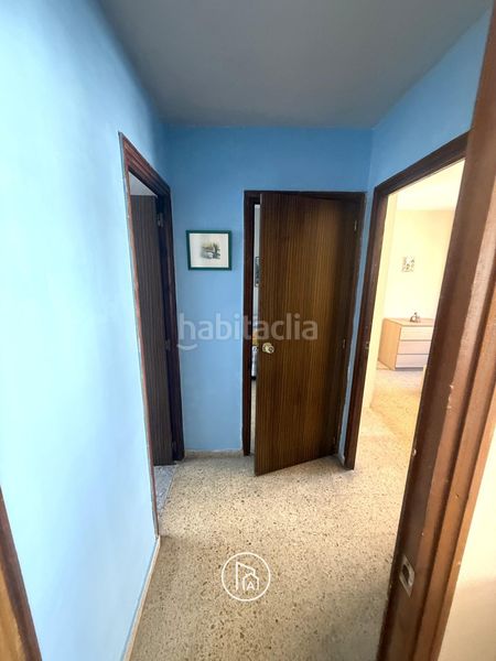 Foto ba373a93-464c-4e05-88e4-fbd087b2c95f. Pis a Marxalenes Valencia