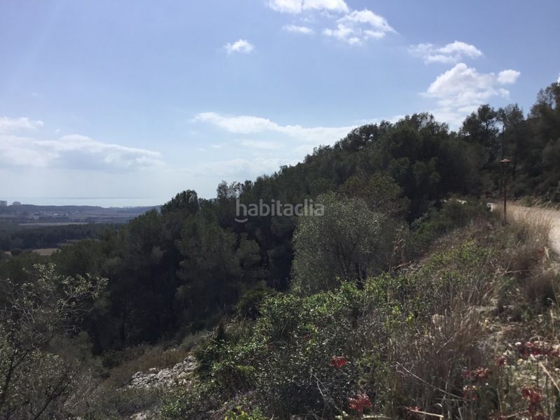 Foto d7b8c232-10e0-4405-8fc8-85bb94d59c8d. Terreny residencial a Can Lloses - Can Marcer Sant Pere de Ribes