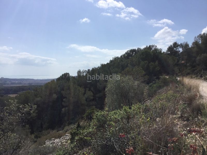 Foto e89506cc-6fbc-4354-8488-f875ffbbf567. Terreny residencial a Can Lloses - Can Marcer Sant Pere de Ribes
