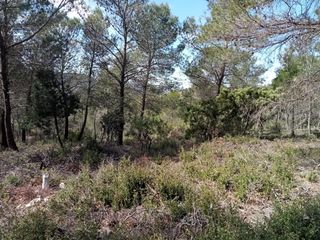 Terreny residencial  Calle nueva sierra ct. Parcela urbanizable de 955m2, en zona muy tranquila