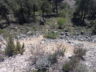 Terreny residencial  Nueva sierra bm. Tegeisa vende parcela de 890 m2