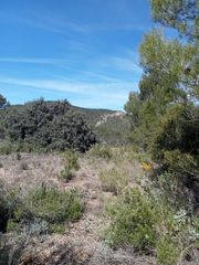 Terreny residencial  Urbanizacion nueva sierra ee. Tegeisa vende parcela de 876m2 vallada