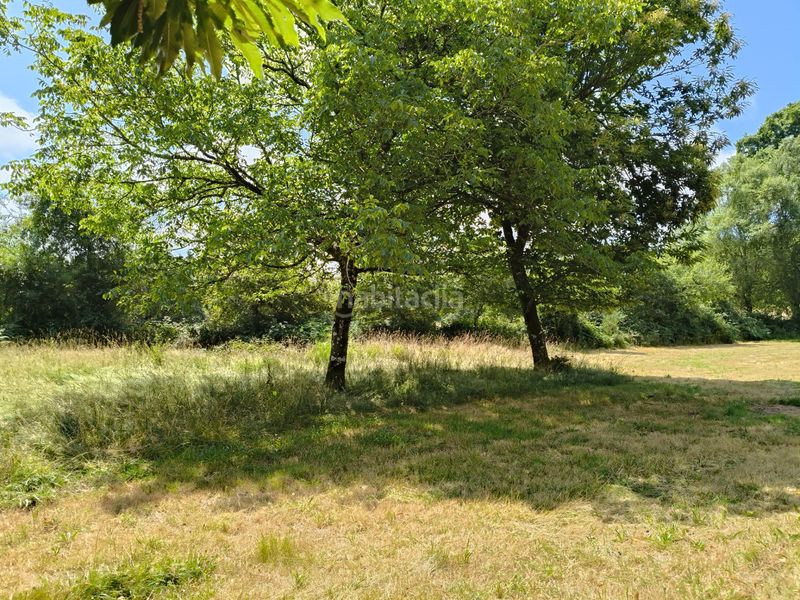 Foto 18a6ae34-7748-4e3b-bfba-b425f1b2a212. Casa a Friol
