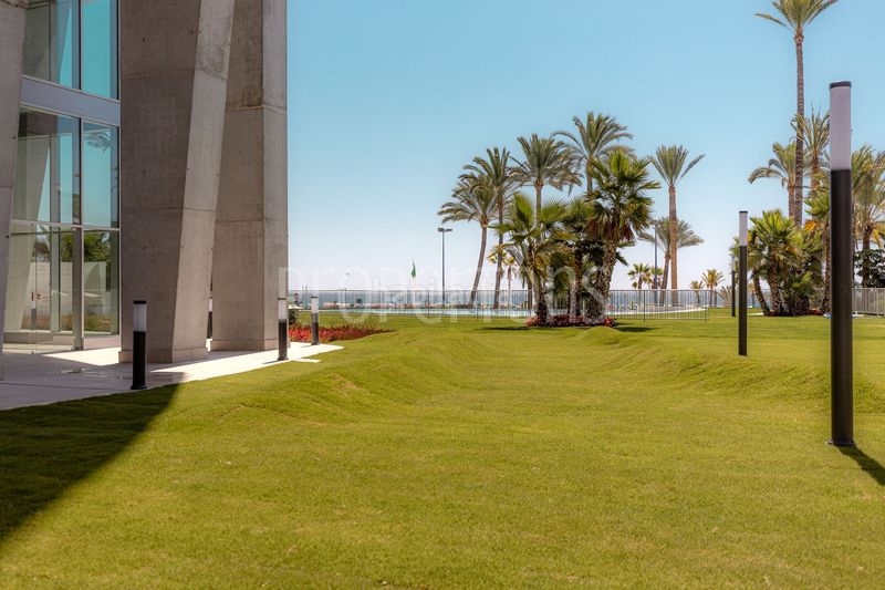 Foto 4b2fea96-abab-43df-b93b-70ad5c1b7754. Pis a Playa Poniente Benidorm