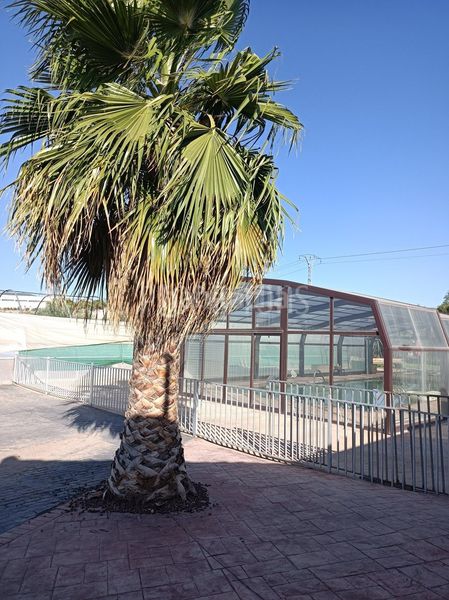 Foto c17614c8-48bd-4060-bf25-0e72e701baff. Casa a Sax