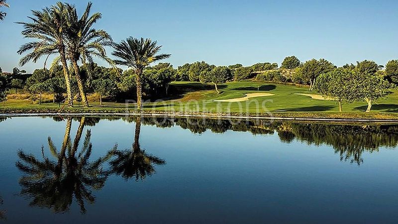Foto 4e4ad9dd-4b22-4503-b05a-e7c2f3909e07. Pis a Monforte del Cid