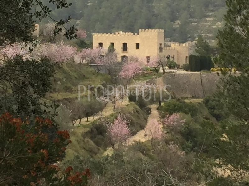 Foto 465022ce-34ef-4d33-a949-efc9674607eb. Masia a Relleu