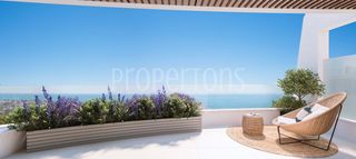 Pis  N/a