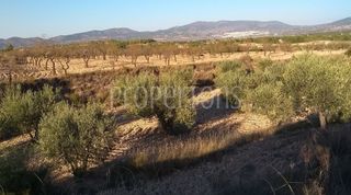 Terreno residenziale in Castalla