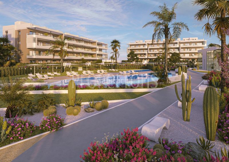 Foto b84a5989-6289-4bff-a037-d9307cab9bd3. Pis a Las Piscinas Naturales Torrevieja