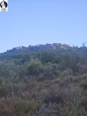 Rural plot in Sierra de Fuentes. Terreno rustico en sierra de fuentes