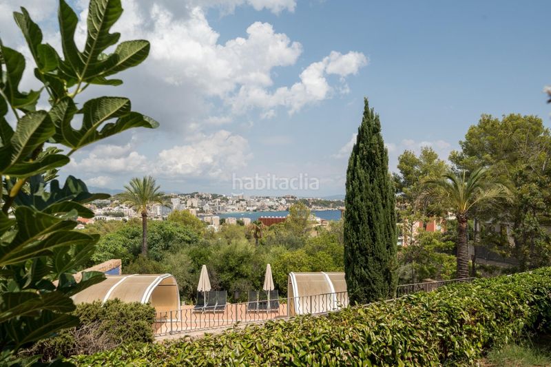 Foto 98958264-4539-4871-9b89-df69136fe343. Planta baixa amb aparcament piscina a Cas Català-Illetes Calvià