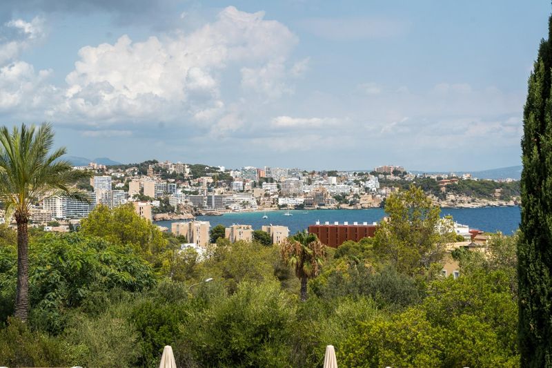 Foto db3992a2-bbd1-4c06-8b27-c3961625a420. Planta baixa amb aparcament piscina a Cas Català-Illetes Calvià
