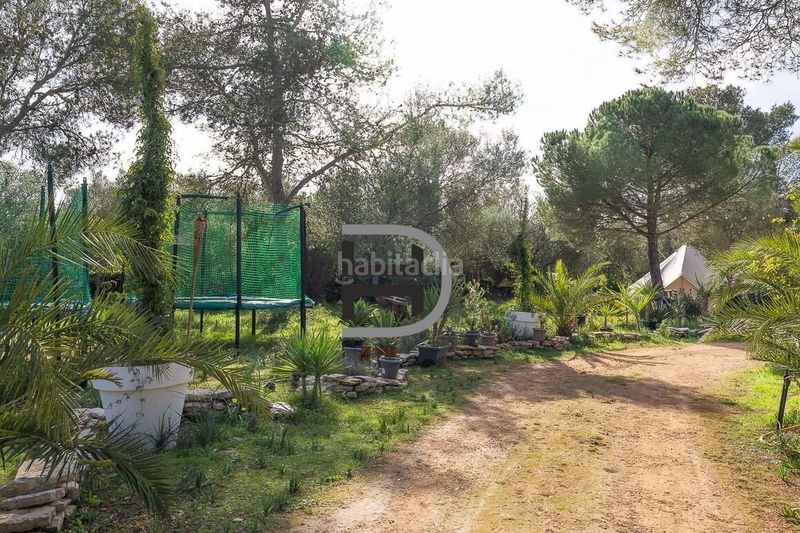 Foto 3bd93c17-2e20-4f5c-aa69-2411081f1cec. Masia amb aparcament piscina a Algaida