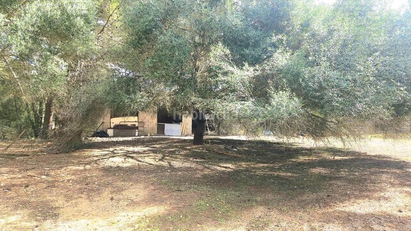 Foto a6aa29e0-f19b-4276-921b-22b4ebcf0e15. Casa amb aparcament a Manacor centre Manacor