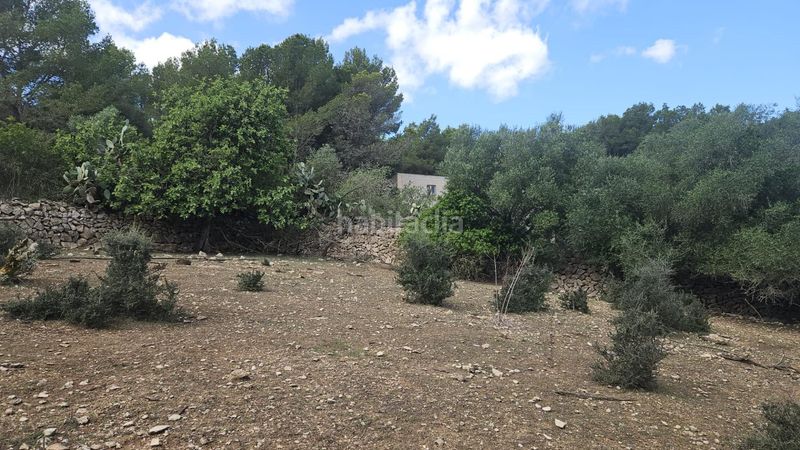 Foto be6cda4d-1309-408b-8953-46c4db95adf9. Casa amb aparcament a Manacor centre Manacor