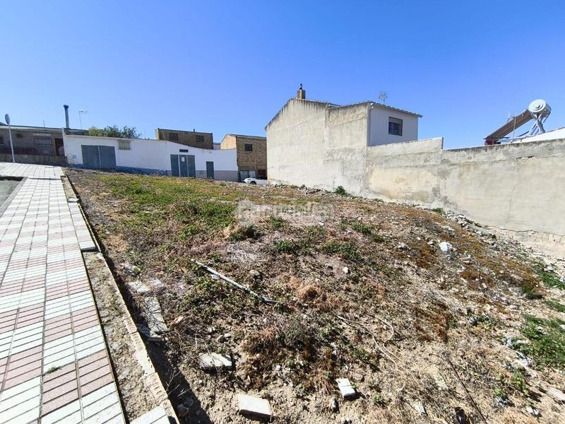 Foto 88cbd7e4-3c32-4793-a0af-85c93124b675. Finca rústica a Almargen
