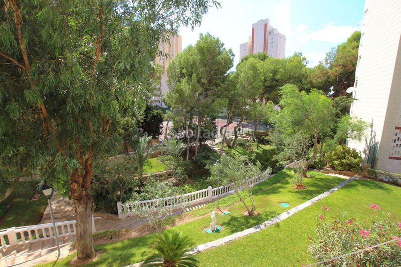 Foto 07f19f50-6c23-4293-8561-c56103828856. Apartamento en Playa Levante Benidorm