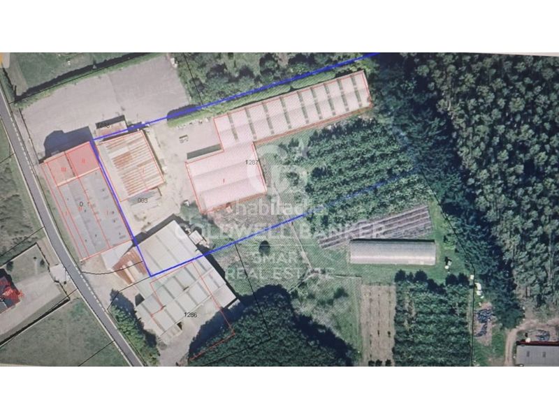 Foto 8e0b5c36-a8bc-4edb-b2be-4d045f55f59c. Nau industrial a lugar sequeiro s/n a O Feal - Xubia Narón