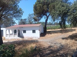 Country house  Gibraleon. Casa campo