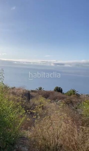 Foto d174f036-c862-4ae1-ac61-85ed6ee5e9e1. Finca rústica a Sauzal (El)
