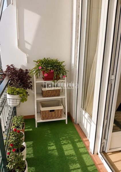 Foto 7d9161e6-be9a-4d7d-979b-4ca02b83748e. Pis a Pinar del Rey Madrid