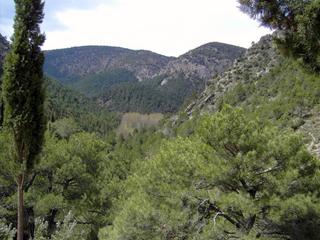 Residential Plot  El toro. Parcela en venta en el toro