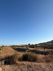 Finca rústica a Novelda. Parcela rústica de 5.390 m en venta en fcandete novelda