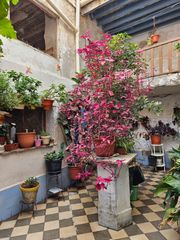 Maison jumelée à Monòver. Gran casa señorial en el centro de monóvar infinitas posibilidad