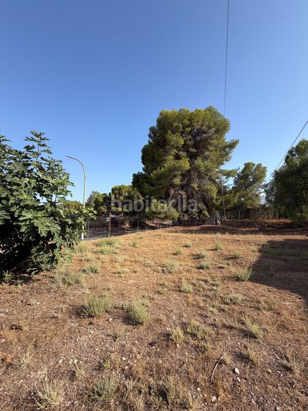 Foto ced850aa-0d26-42f5-b65c-949bae0f9720. Casa a Monòver